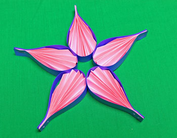 Pleated Five-Point Star step 11 finished ready to display
